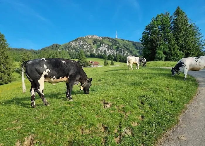 Dom wakacyjny Felder's Escapes - Boutique House Mountainside Blaichach